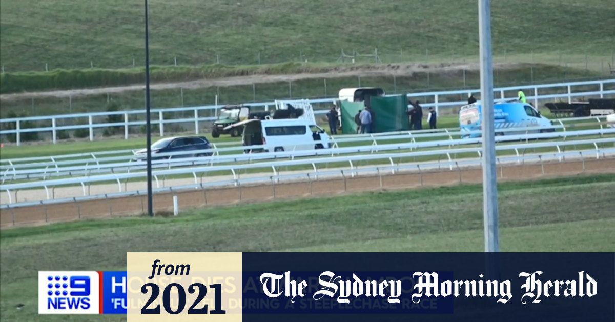 Video Warrnambool carnival marred by horse's death